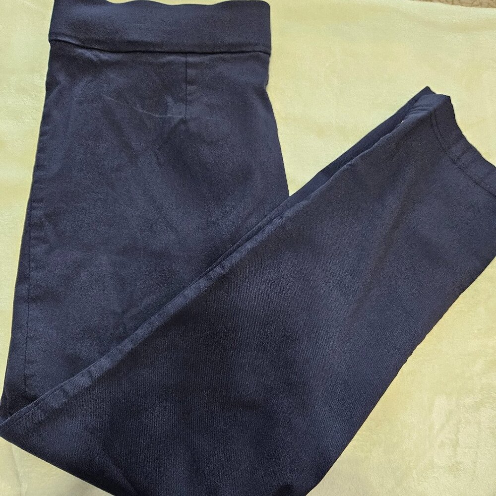 Emaline Navy Skinny Pant - Picture 1 of 6